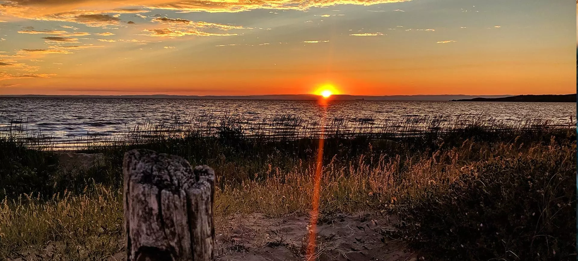 Beaches banner 