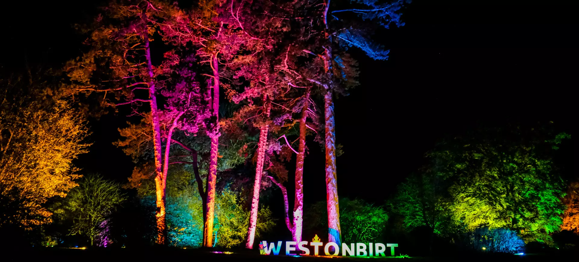 1920x869.all.westonbirtxmas