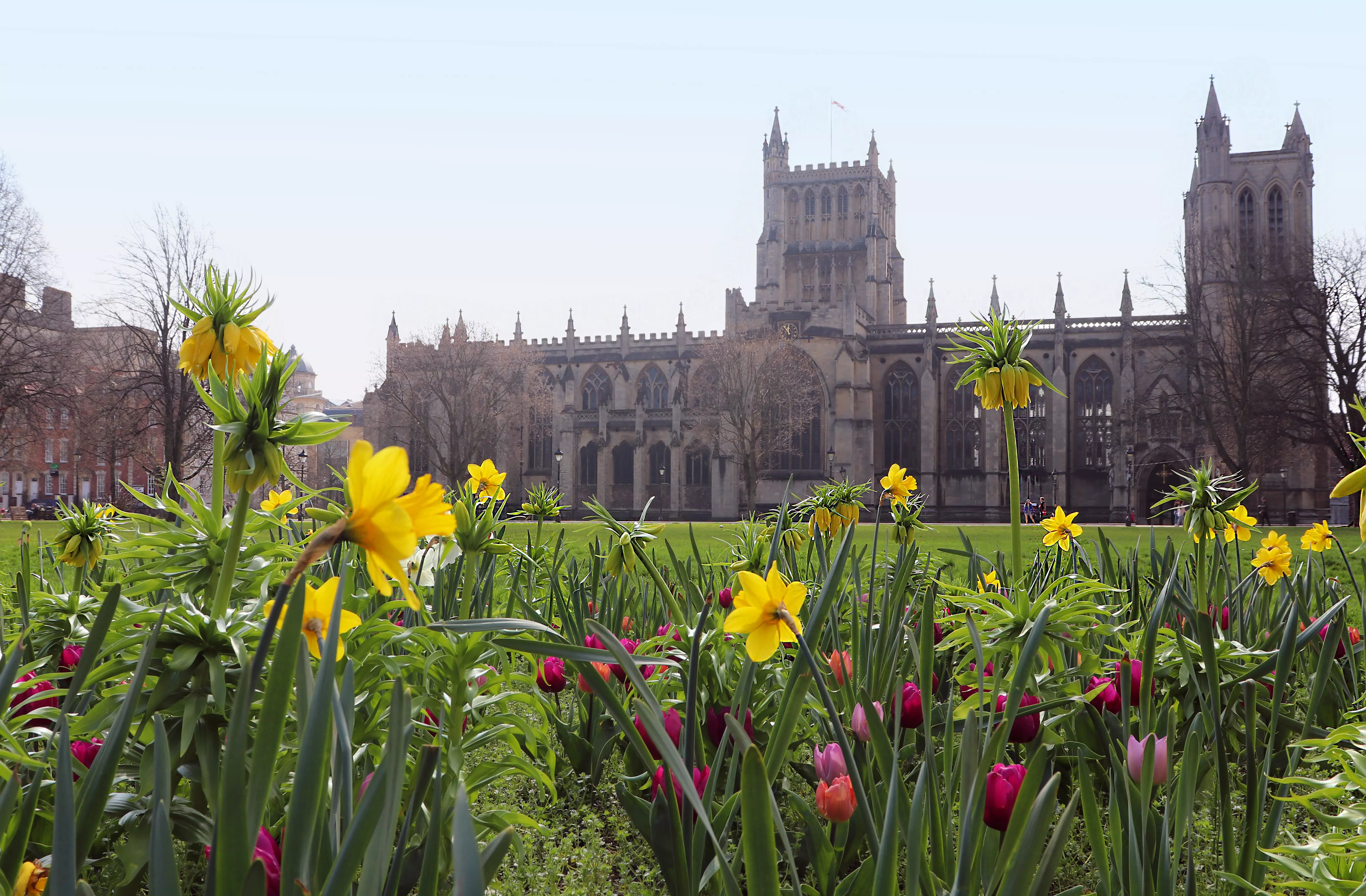 AdobeStock 200960050