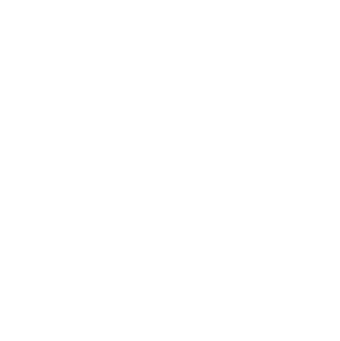 Bristol Pride logo white for footer
