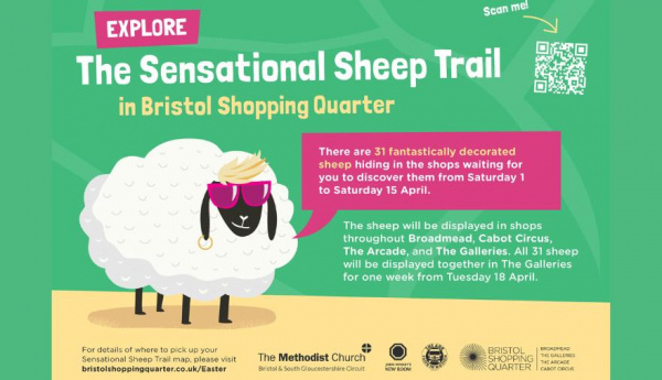 sensational sheep trail bristol