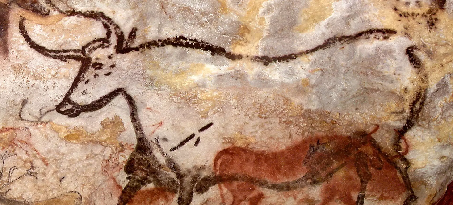 lascaux banner