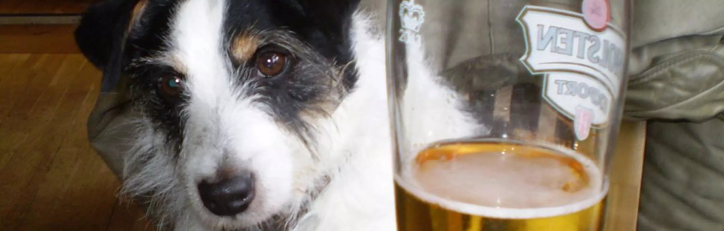 rsz dog pub banner