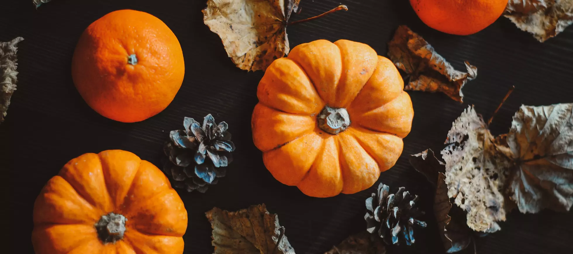 spooky season blog